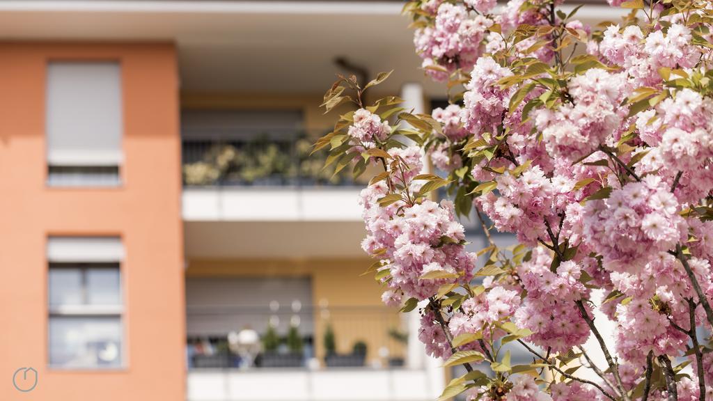Italianway - Marcantonio Appartement Milan
